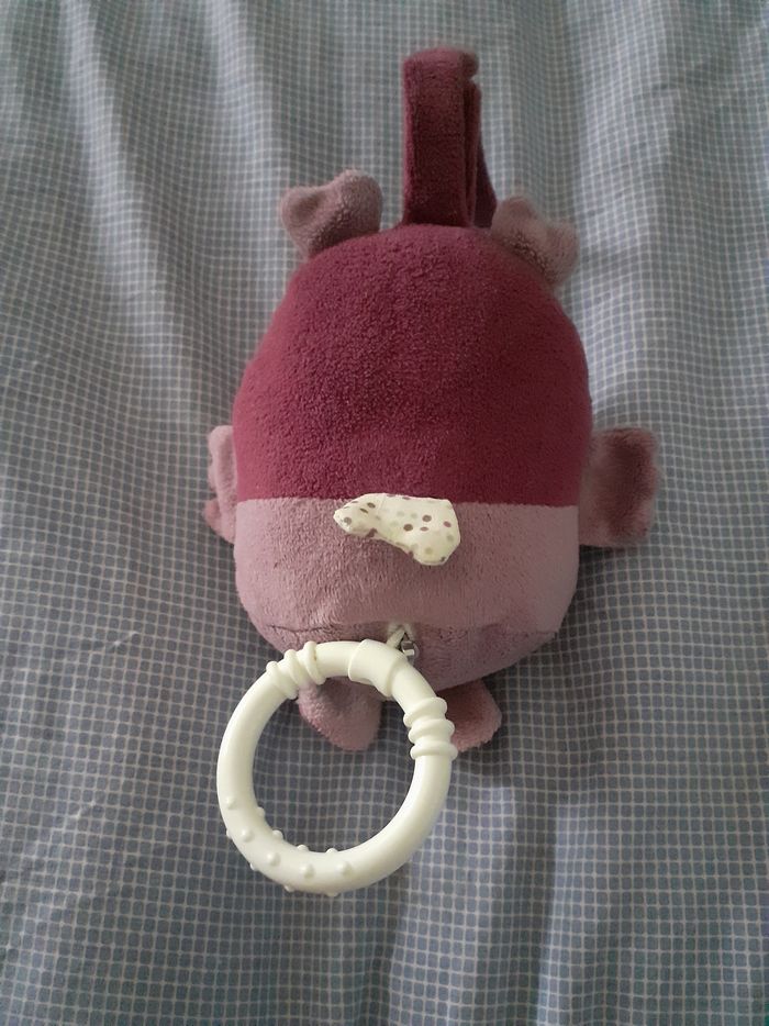 Chouette musical - photo numéro 2