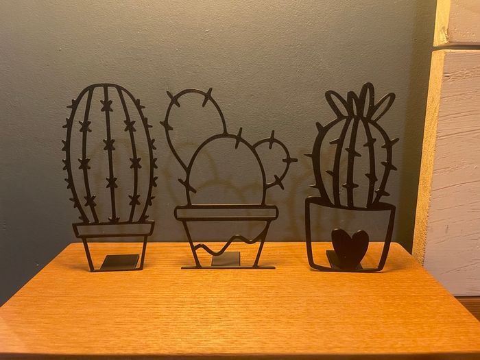 Décoration cactus - photo numéro 4