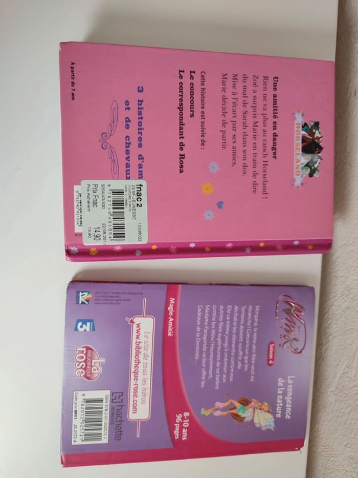 Livre 3 histoire s d'amitié et cheveaux + winx offert - photo numéro 3