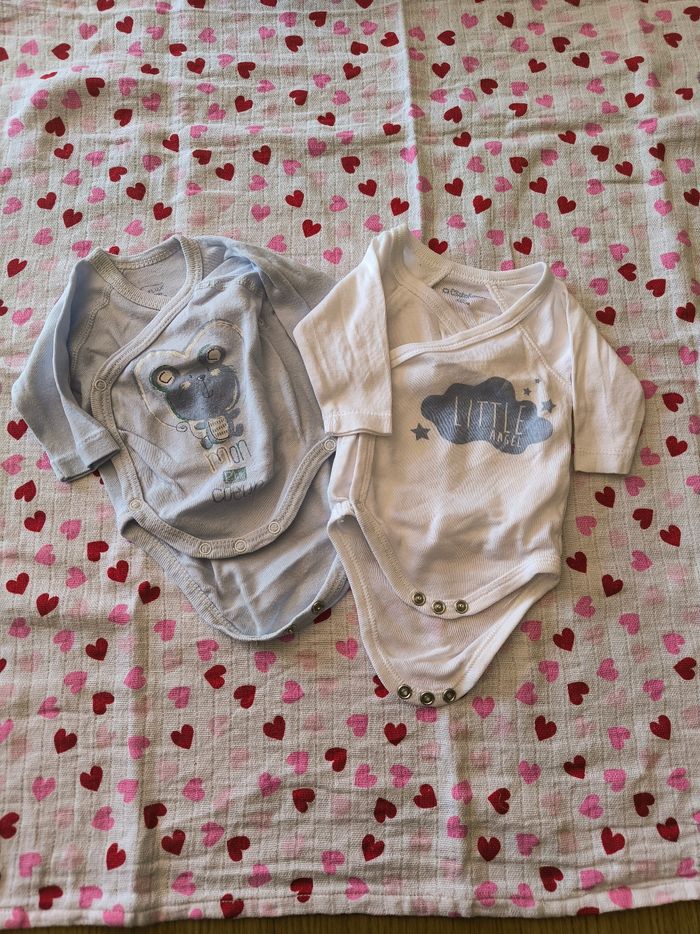 Bodies