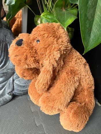 Peluche chien cocker
