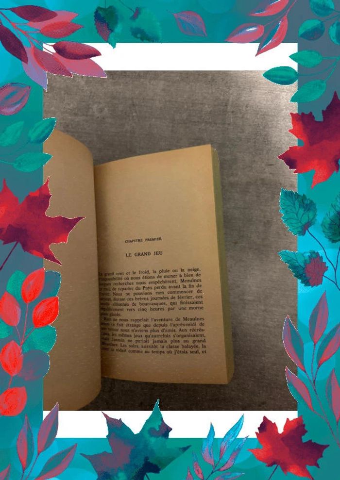 Livre le grand meaulnes - photo numéro 2