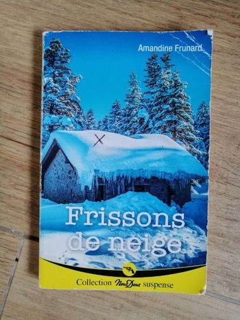 Roman Frissons de neige d'Amandine Frunard en bon état