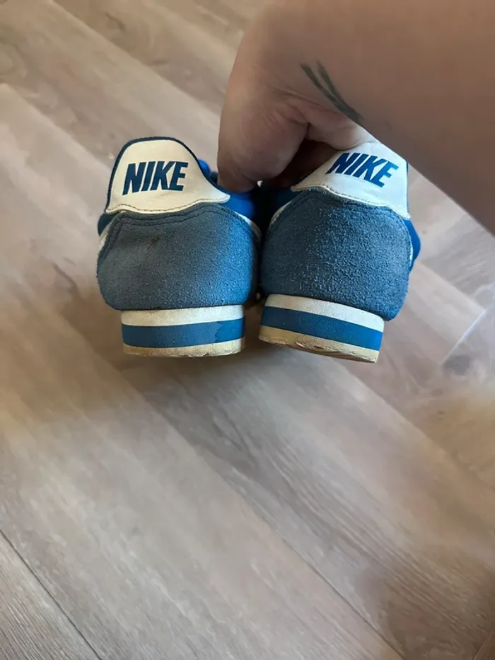 Cortez bleu - photo numéro 4