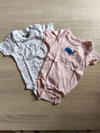 Body manches courtes