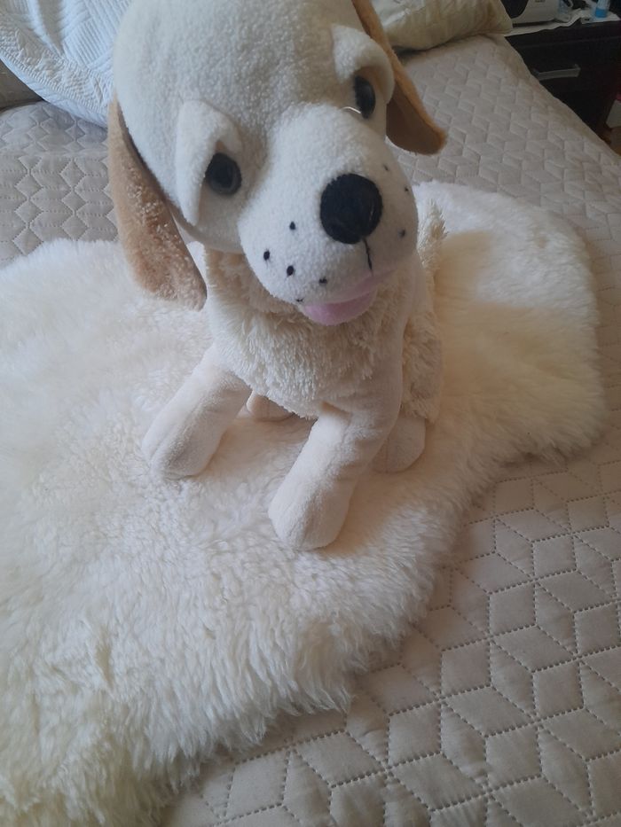 Jolie peluche chien  beige