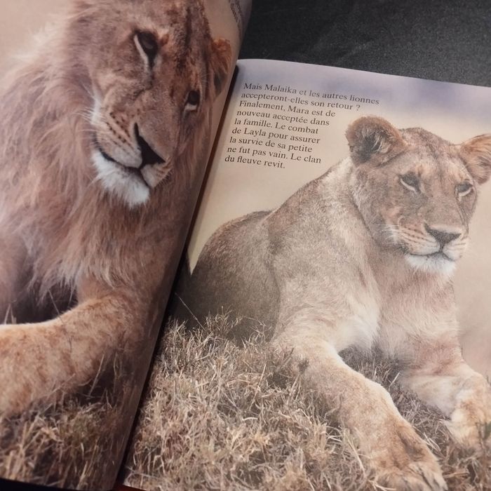 Livre Disney félins - photo numéro 5