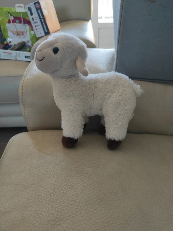 Doudou mouton 🐑