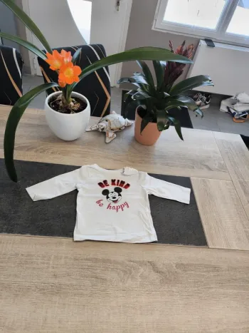 Tee-shirt garçon ml 6 mois Disney Mickey