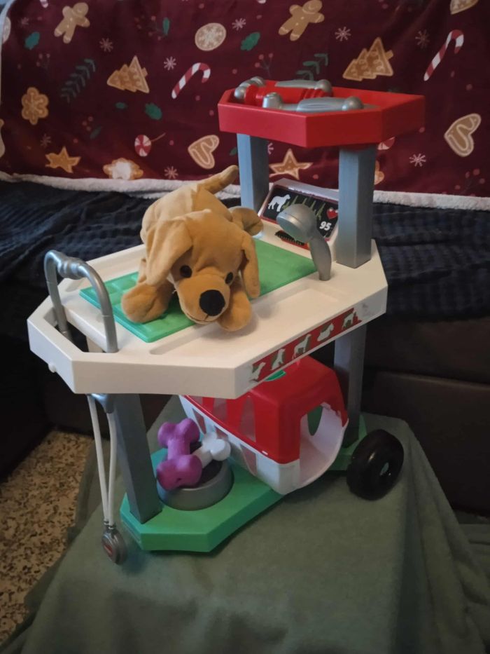 Vétérinaire avec son chien - photo numéro 2