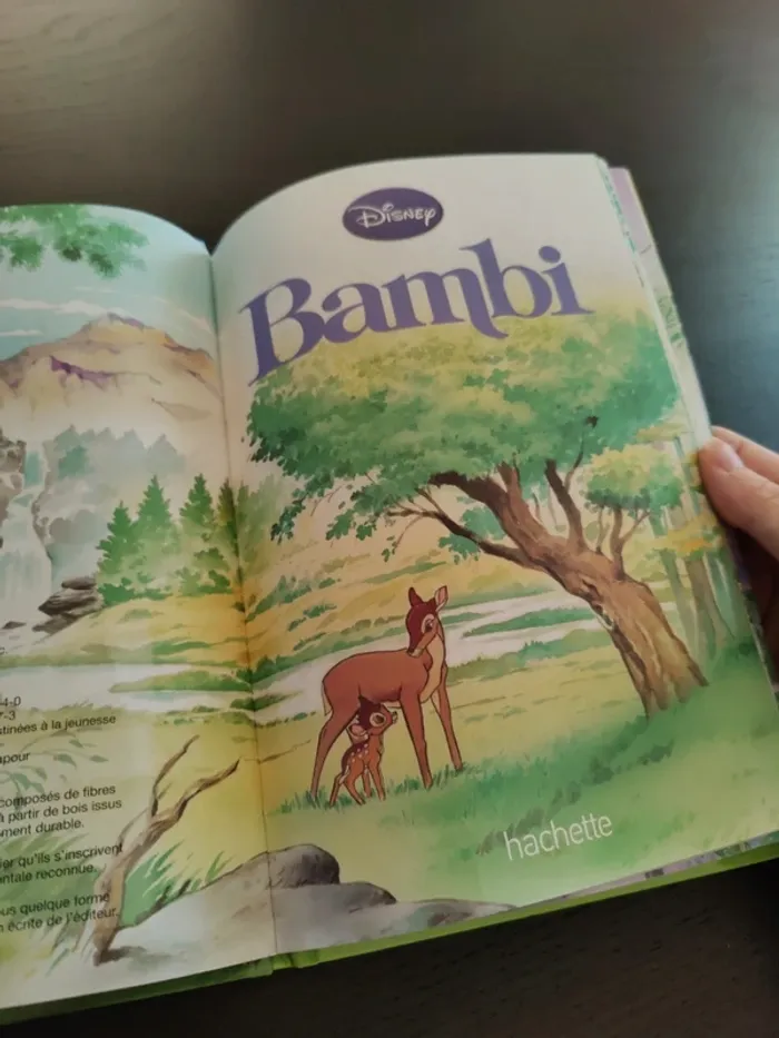 Livre Bambi - photo numéro 4