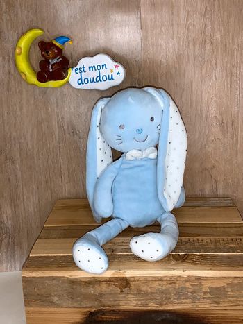 TEX11 Doudou lapin 🐰 tex