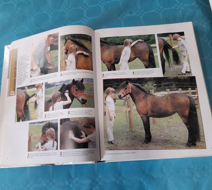 Le grand atlas du cheval Ed. Atlas - photo numéro 2