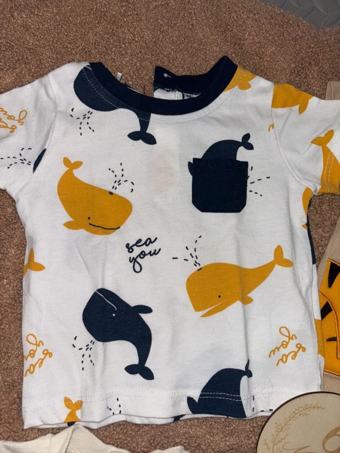 Lot Tee shirt été 6 mois animaux jungle - photo numéro 5
