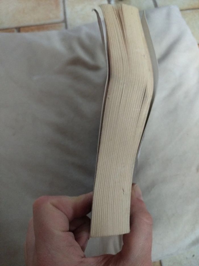 Livre anima mundi de susanna tamaro - photo numéro 4