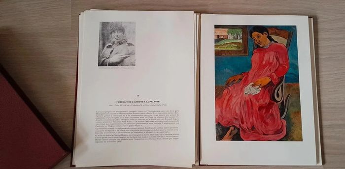 Paul Gauguin - Robert Goldwater - photo numéro 5