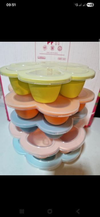 Lot de fleurs multiportions beaba