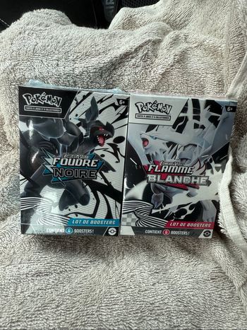 Bundle Pokémon ev10.5 foudre noire et flamme blanche
