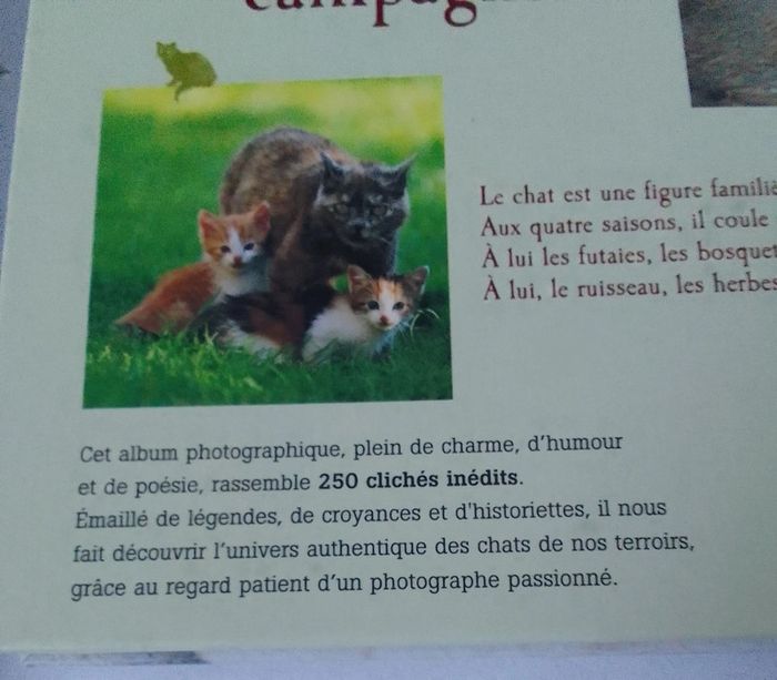Chats de nos campagnes - photo numéro 3