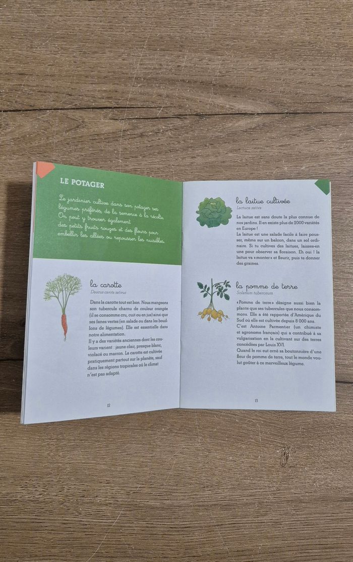 Coffret Montessori du jardin - photo numéro 4