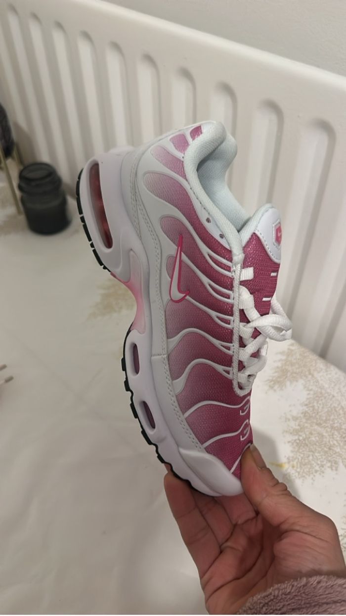 Tn rose - photo numéro 3