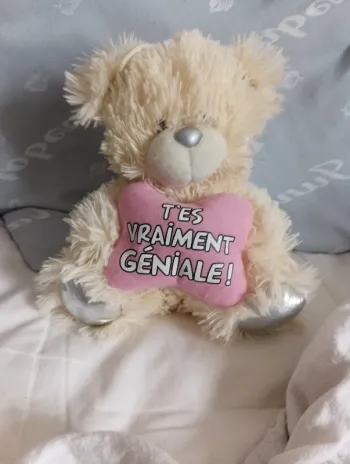 Doudou ours