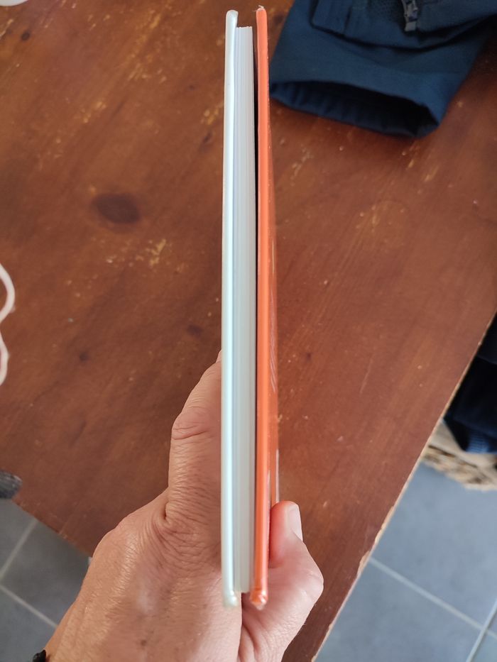 Livre Bazar bizarre - photo numéro 5