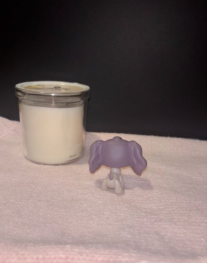 spaniel #672 - photo numéro 4