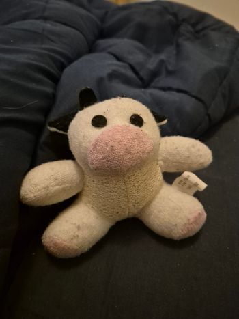 Peluches