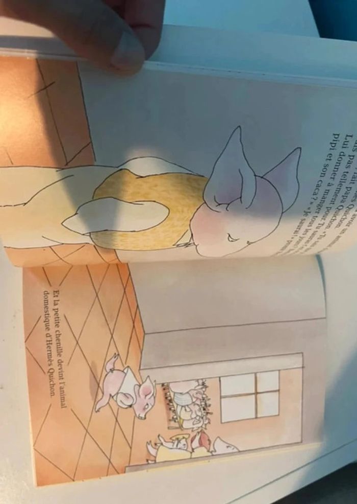 Livre école des loisirs l’animal d' Hermès quichon - photo numéro 2