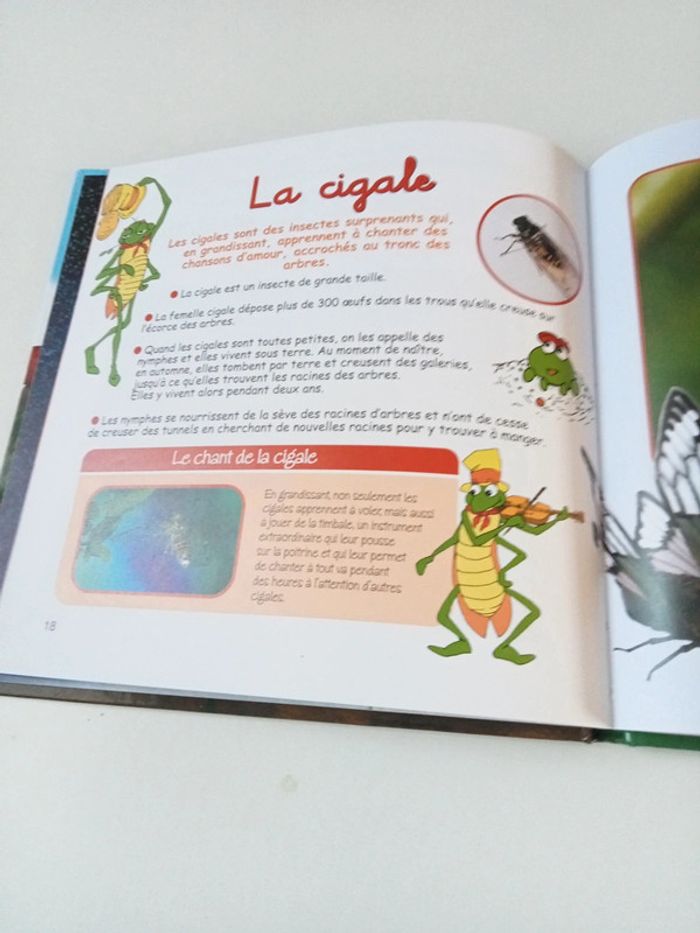 La cigale et la fourmi - photo numéro 5