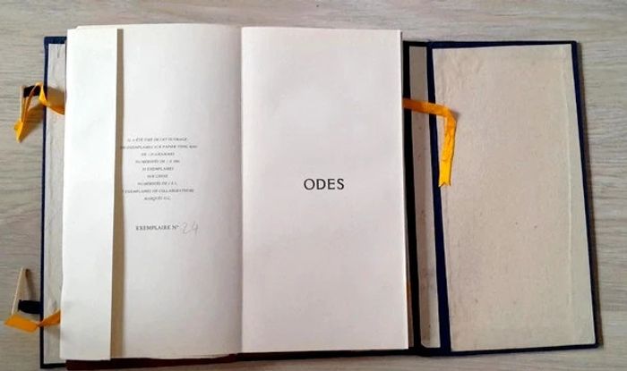 Victor Segalen- Odes - photo numéro 9