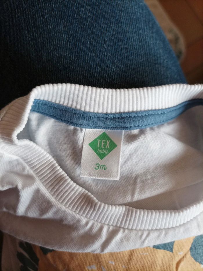 Tee shirt lion photo - photo numéro 5