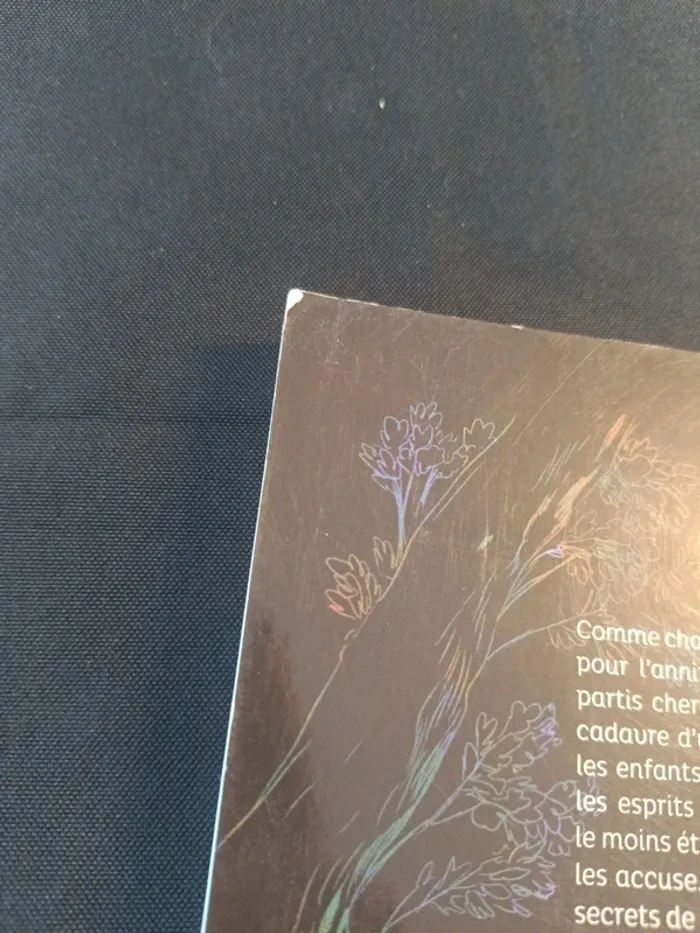 Très belle bande dessinée sombre citrouille - photo numéro 3