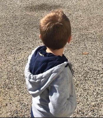 Veste à capuche grise Timberland - 4 ans