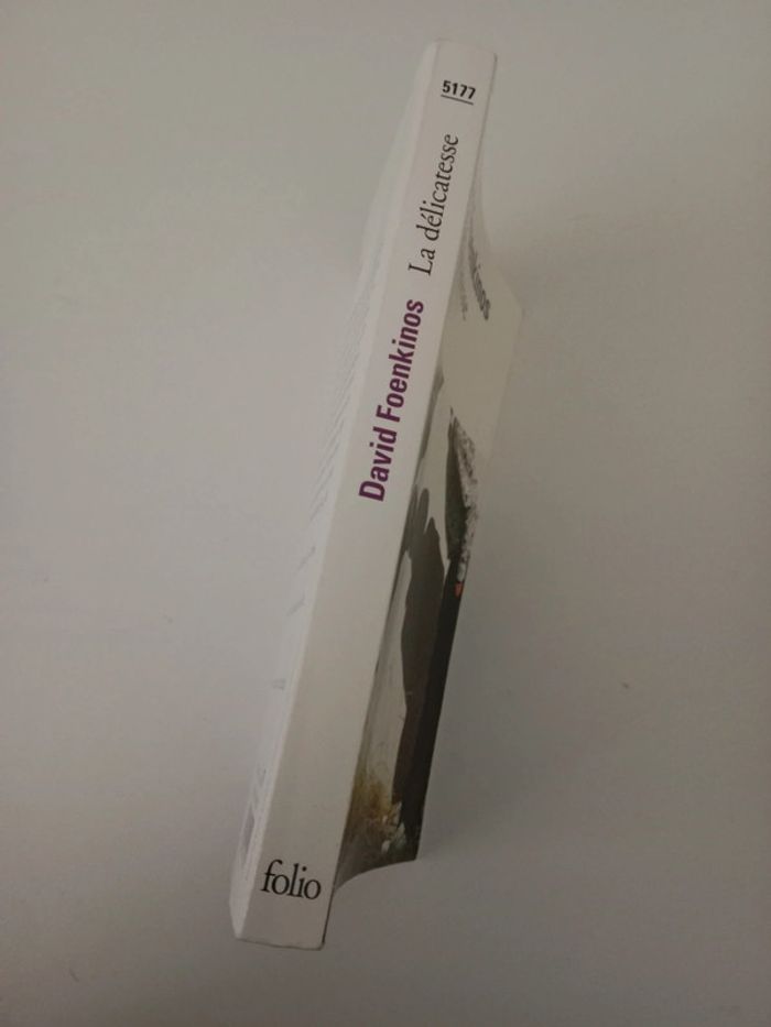 David Foenkinos 📚 La délicatesse - photo numéro 3