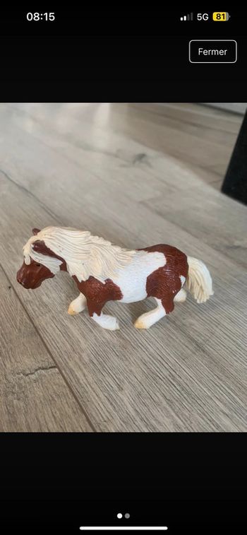 Schleich shetland