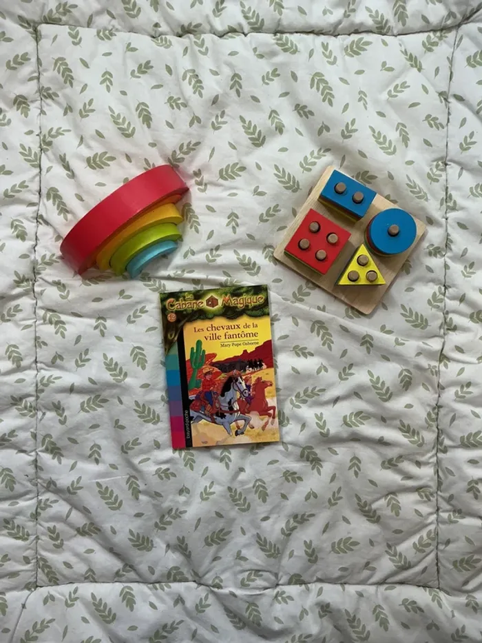 livre la cabane magique tome 13 les chevaux de la ville fantôme