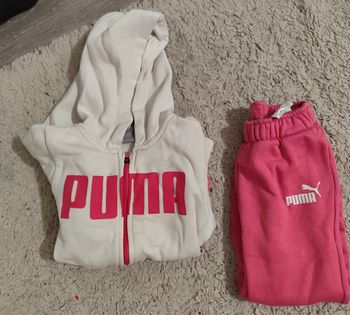 Puma ensemble