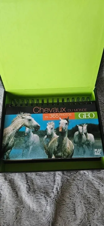 Calendrier Cheval 365 photos