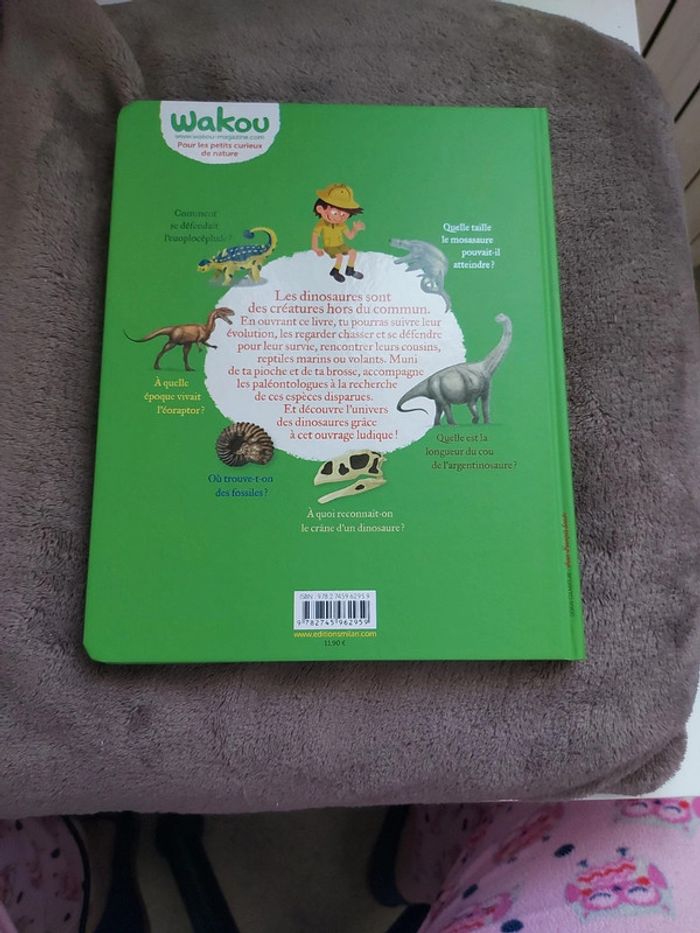 Livre sur les dinosaures - photo numéro 2