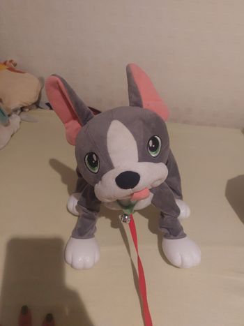 Chien toufou