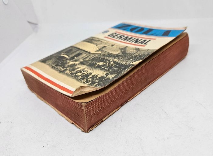 "Germinal", de Zola.
512 pages.
Le livre de poche. 
ISBN : 2.253.00422.7 - photo numéro 3