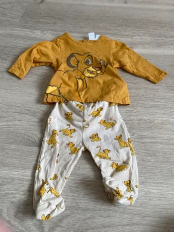 Ensemble roi lion
