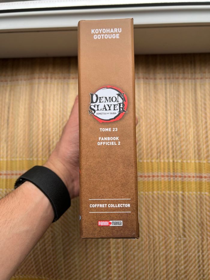 🔥 Lot Manga DEMON SLAYER – Intégrale + Collector Tome 1 + Coffret Tome 23 + Spin-off - photo numéro 7