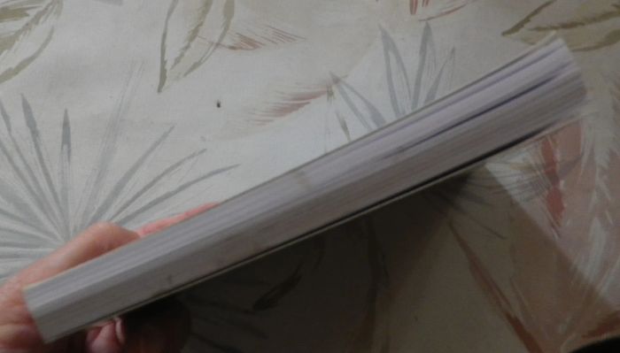 Août mortel baie des Ebihens de Sylvie Vadis Breizh Noir - photo numéro 4