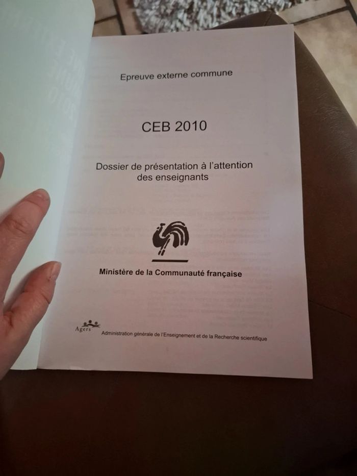Épreuve externe commune ceb 2010 - photo numéro 2