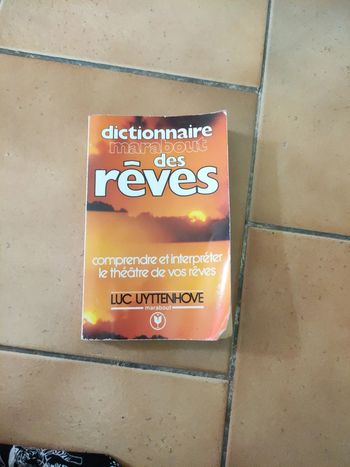 Livre des rêves