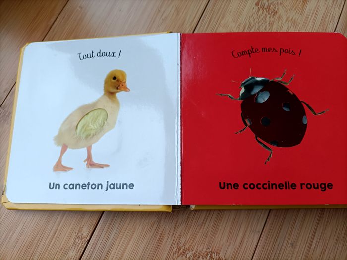 livre à toucher - photo numéro 2