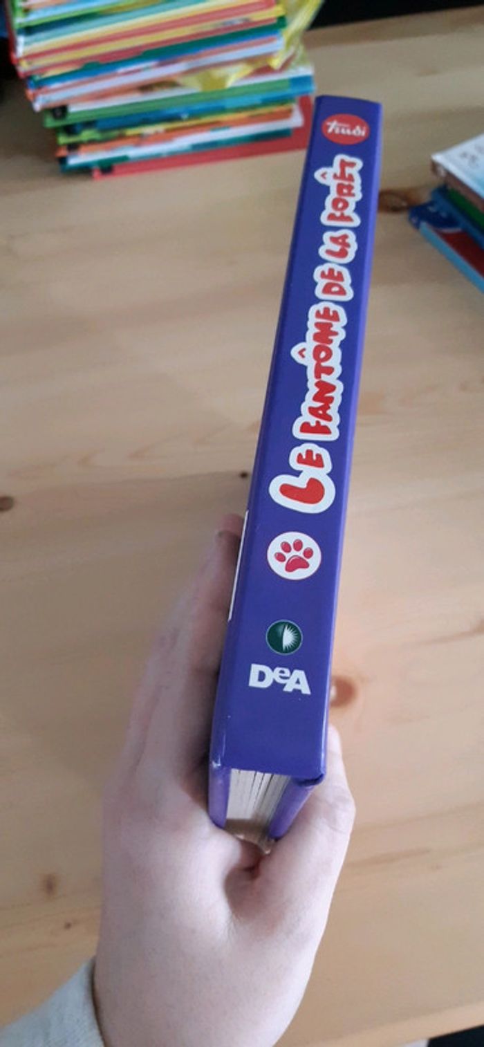 Le fantôme de la forêt - photo numéro 2